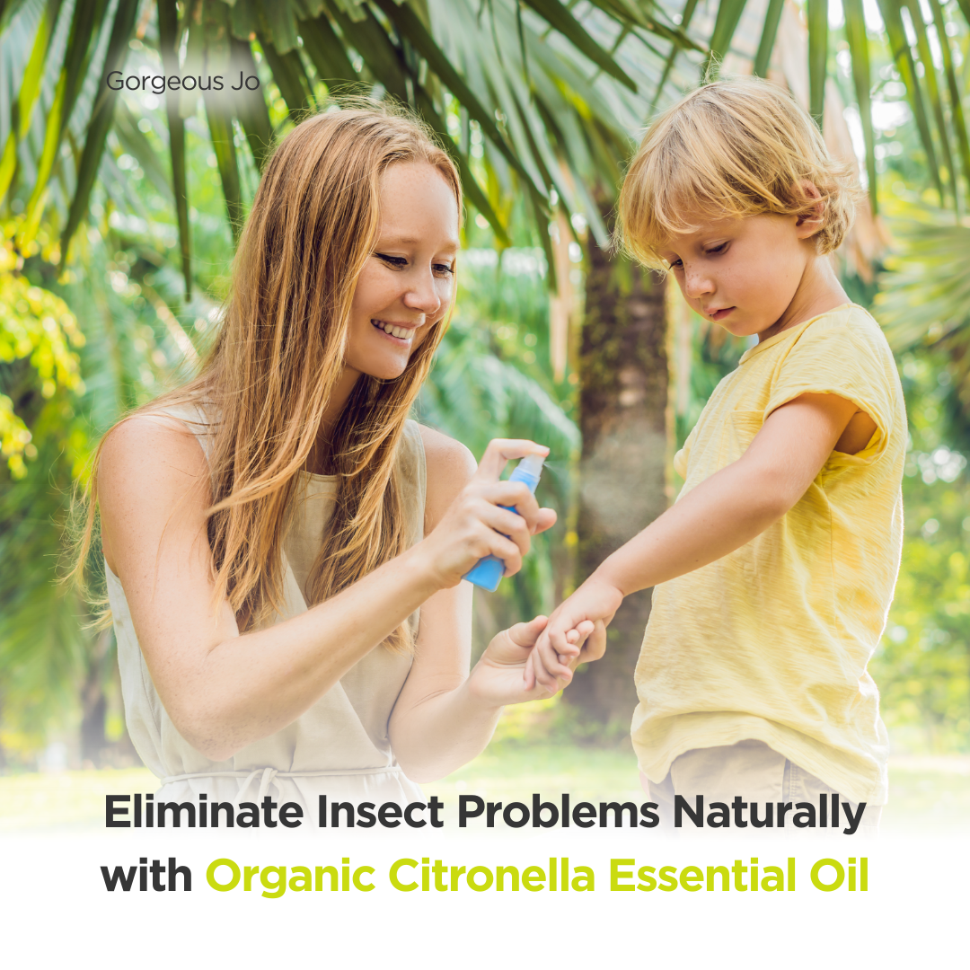 Eliminate Insect Problems Naturally: How Citronella Essential Oil Provides Effective Repellent Solutions