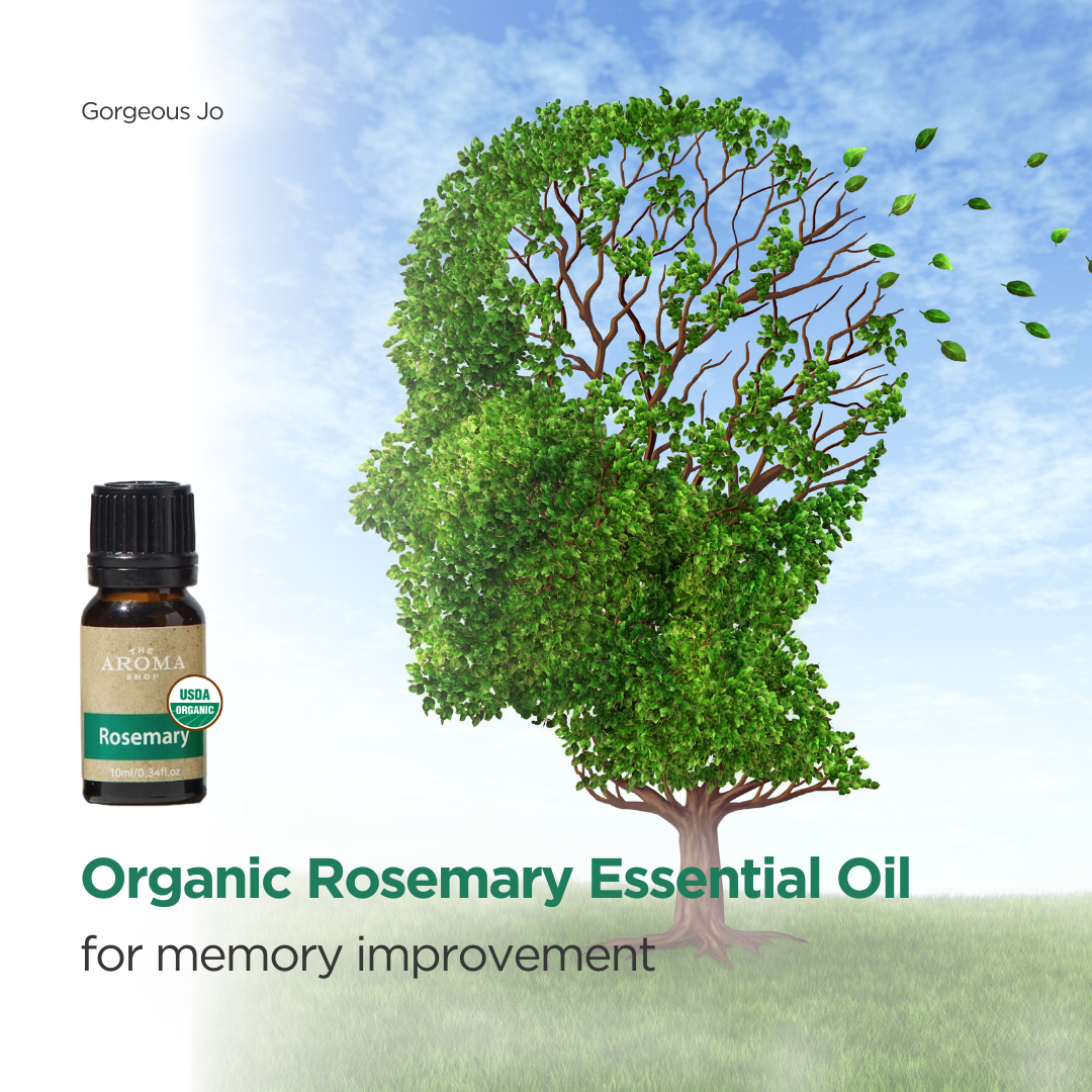 Rosemary Essential Oil for Memory Improvement: How It Can Boost Cognitive Function - GJ Group Sdn Bhd
