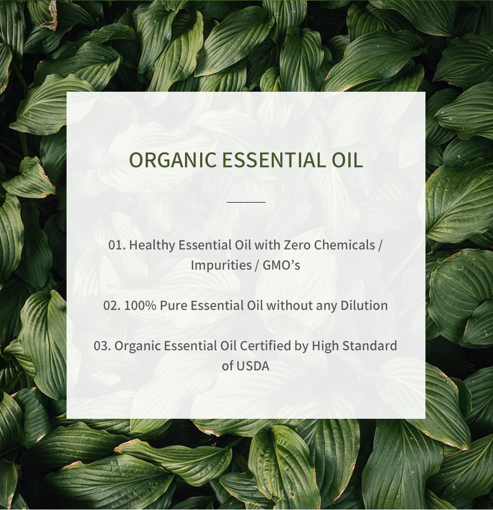 The Aroma Shop Organic Eucalyptus Essential Oil