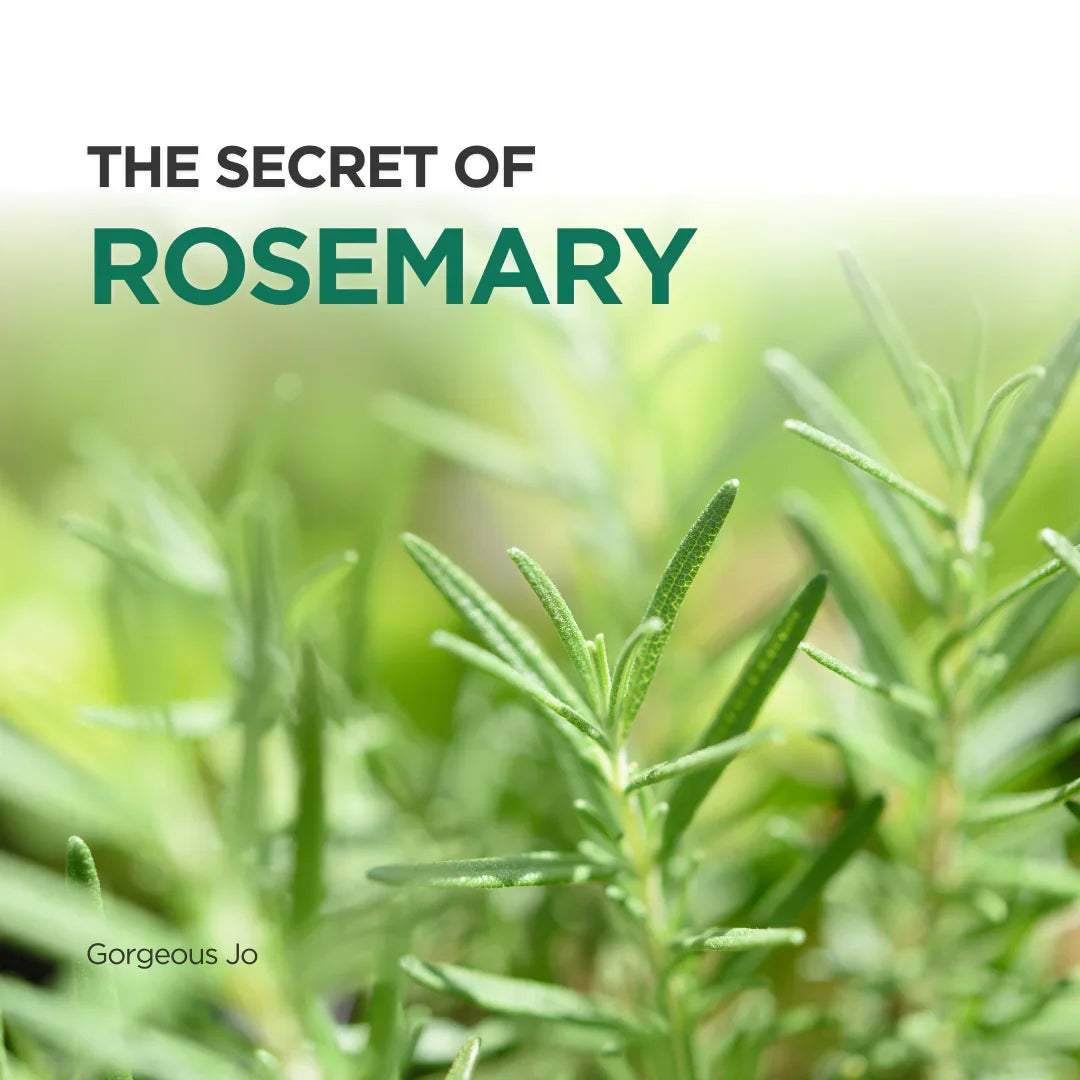 The Secret of Rosemary - GJ Group Sdn Bhd