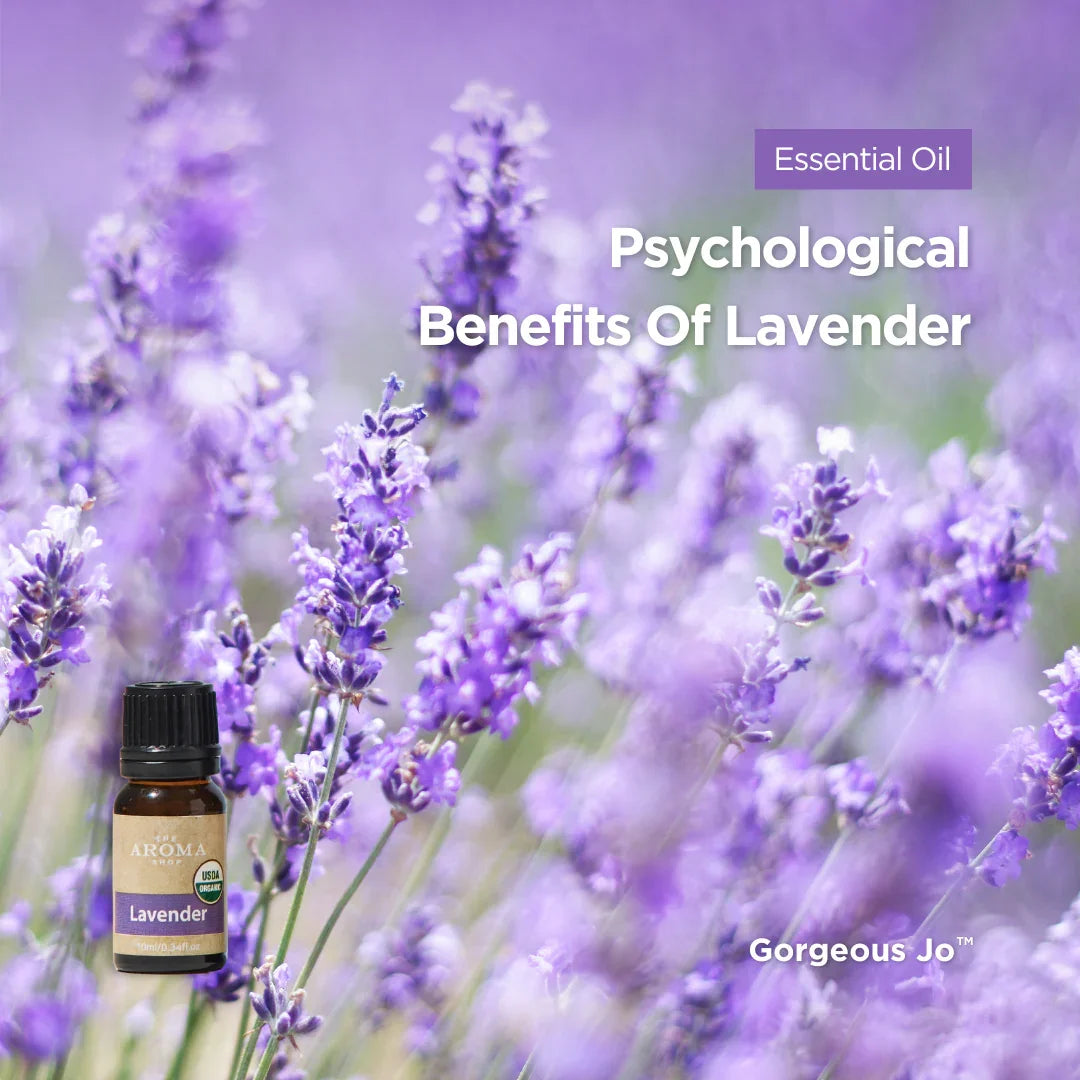 Lavender for Anxiety & Stress: Psychological Benefits Explained