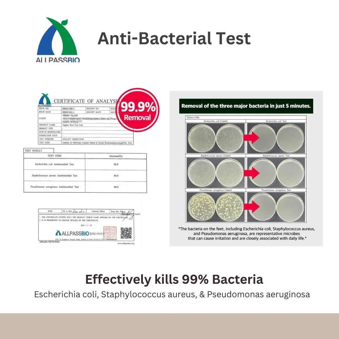 Anti-bacterial test kit with certification and bacterial removal results on a white background