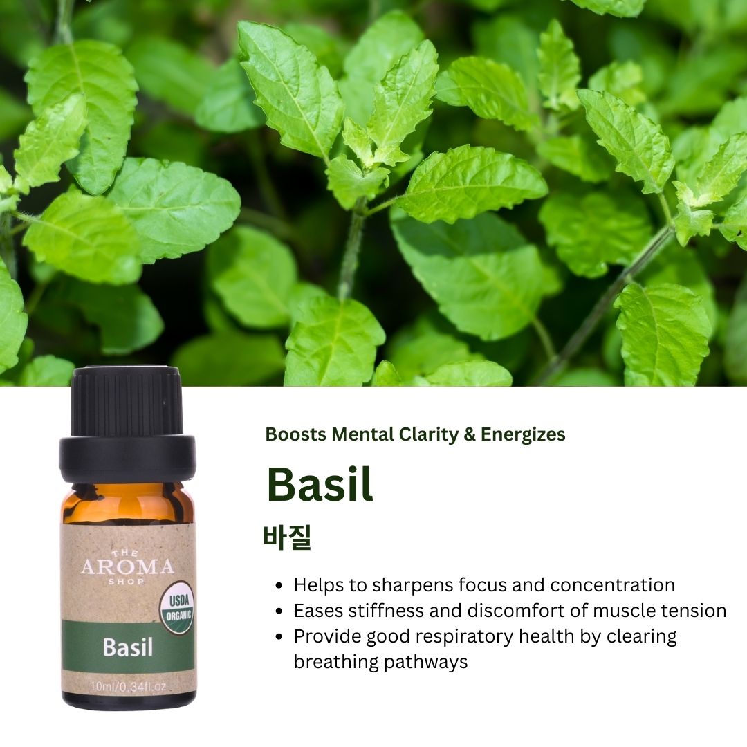 Bottle of basil essential oil with basil leaves in the background
