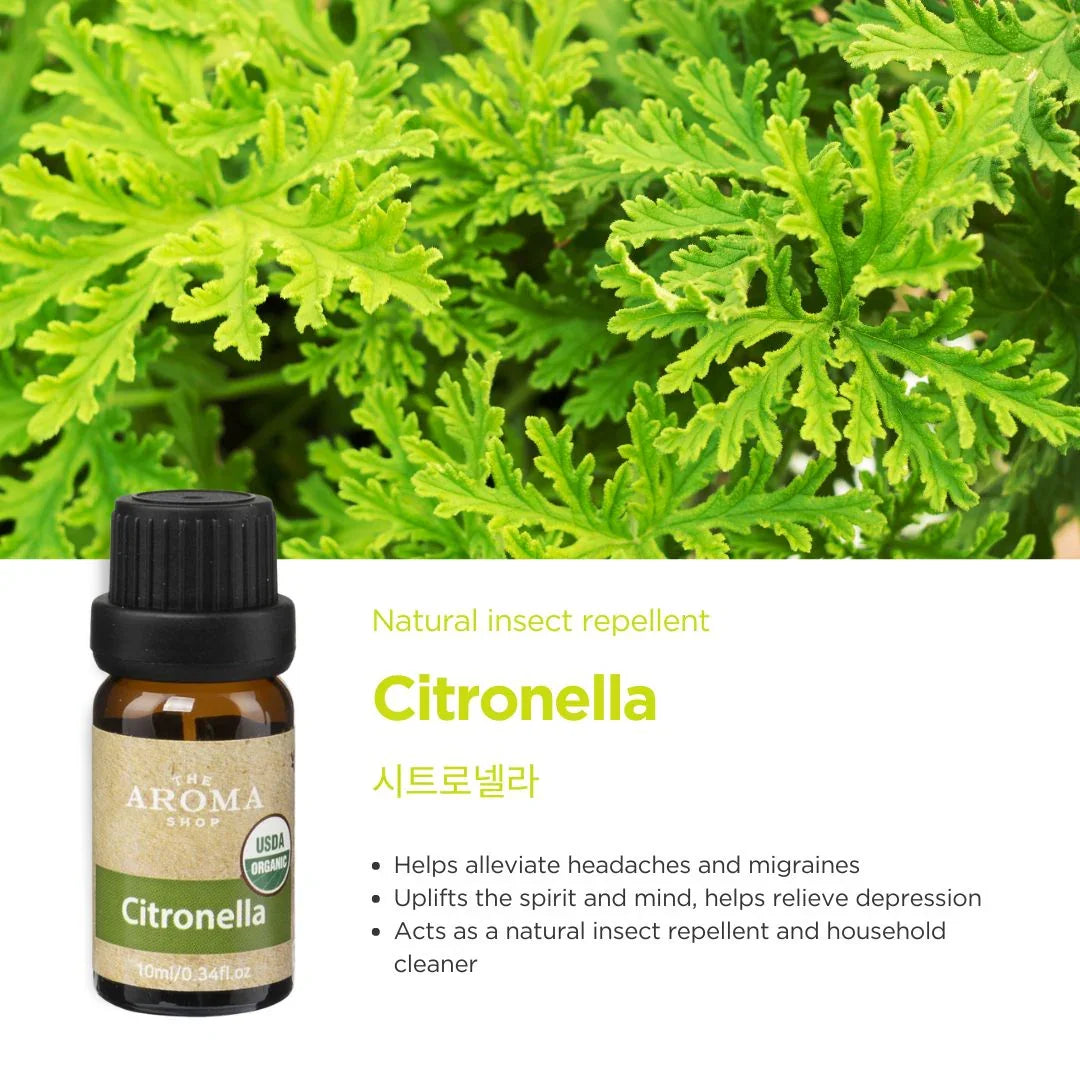 Citronella essential oil bottle with green leaves in the background