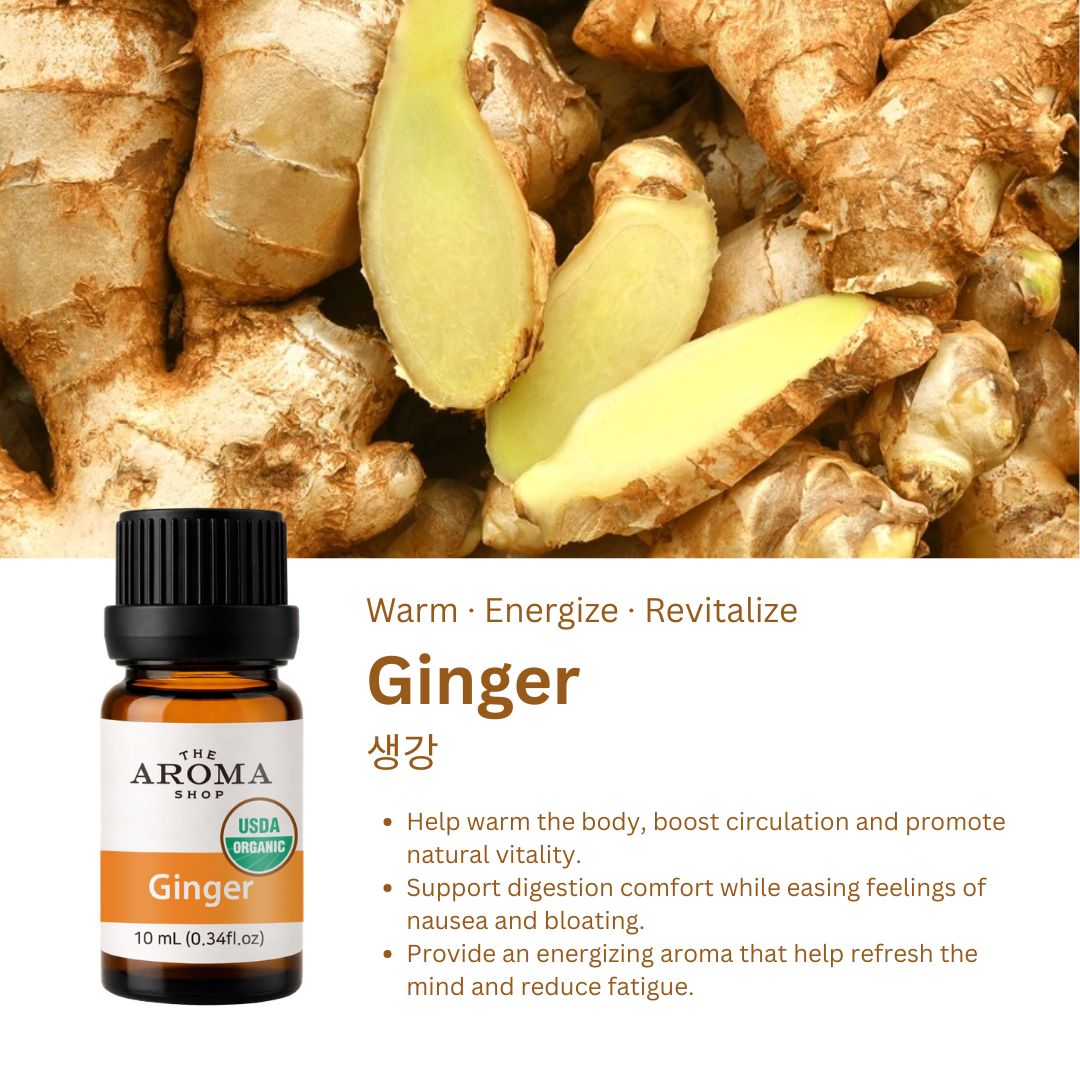Organic Ginger Essential Oil (10ml)