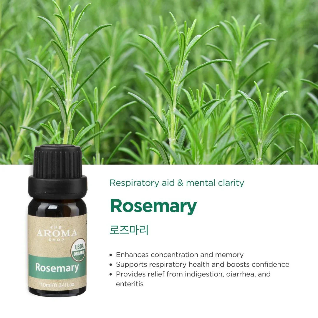 Rosemary essential oil bottle with rosemary plants in the background