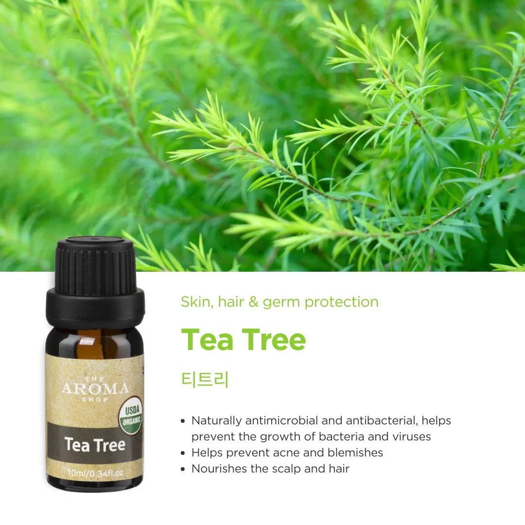 Tea tree oil bottle with green foliage in the background