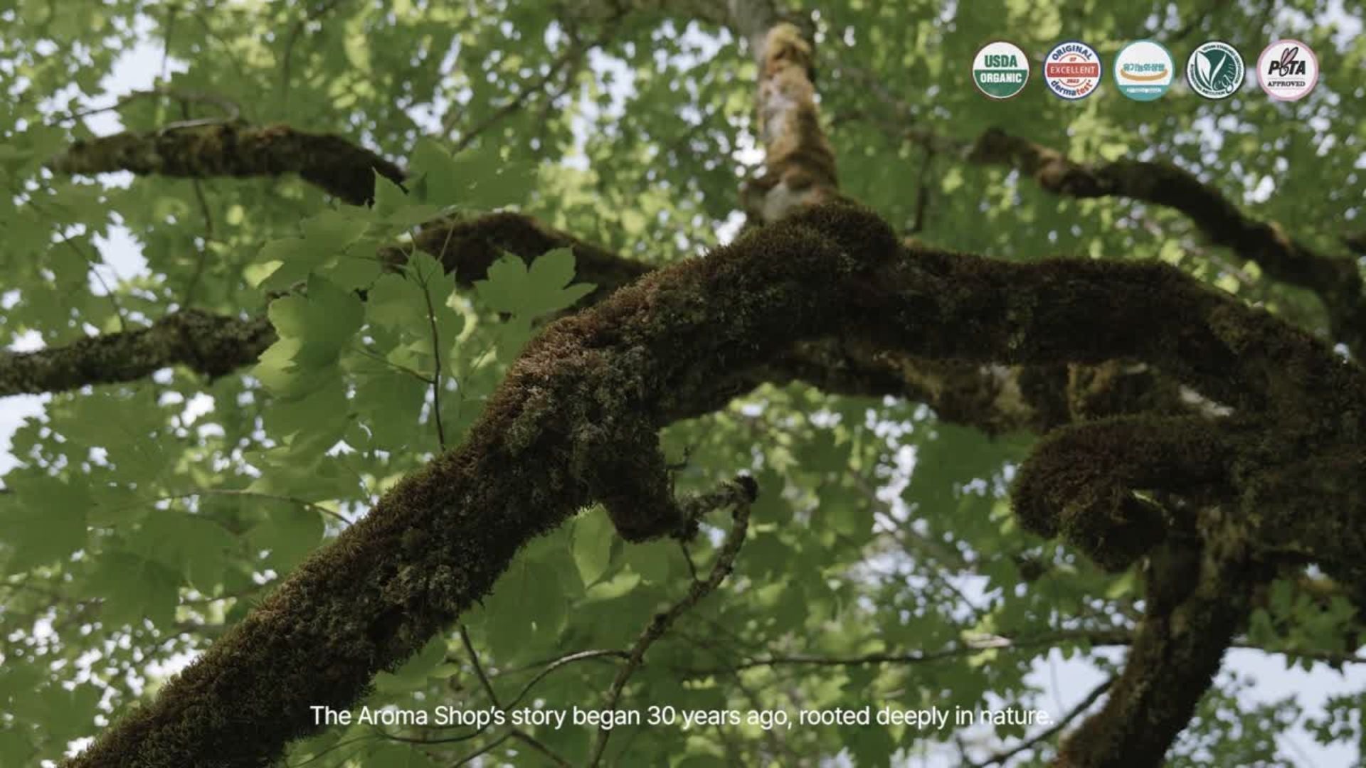 Load video: Essential Oil &amp; Natural Skincare