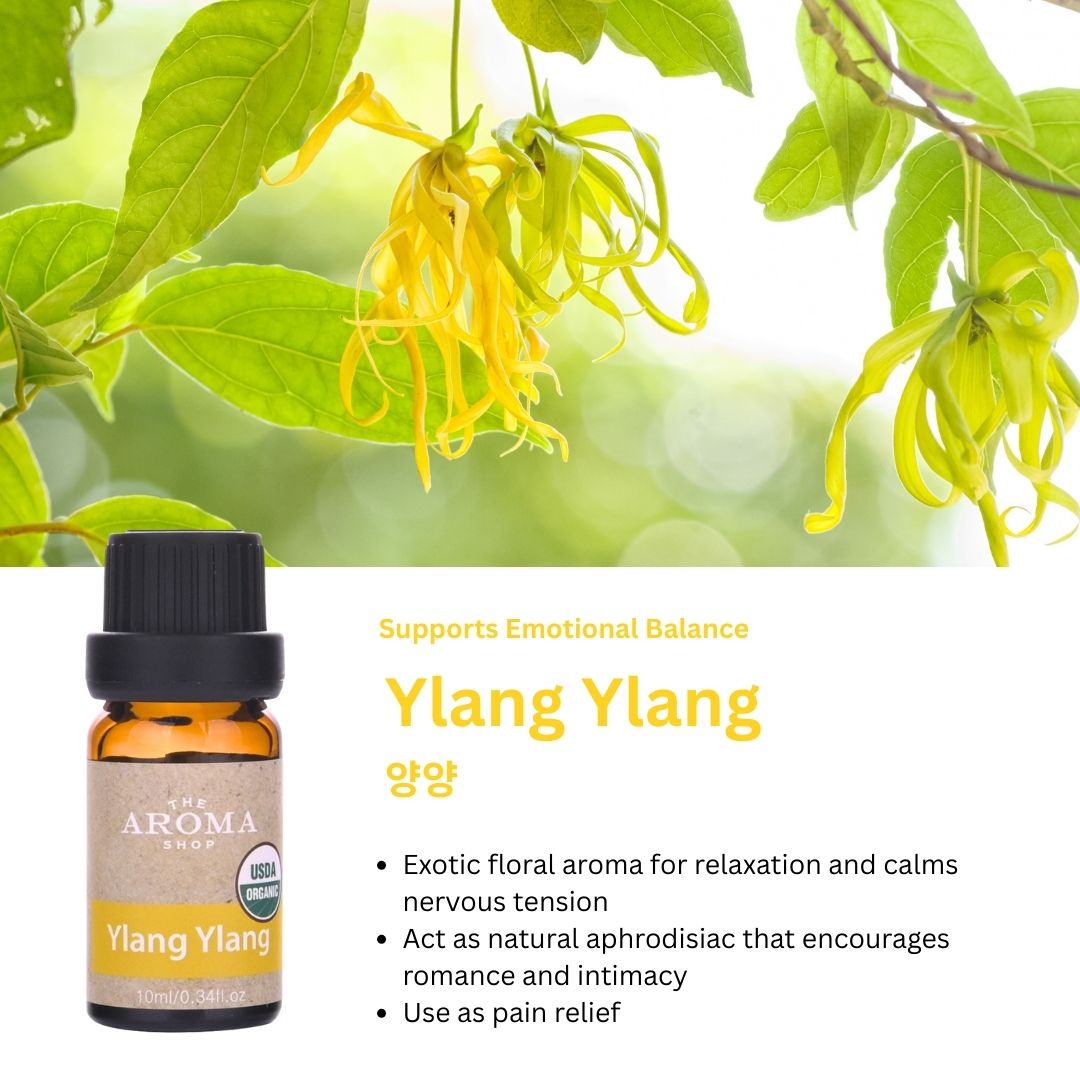 Ylang Ylang essential oil bottle with plant in the background